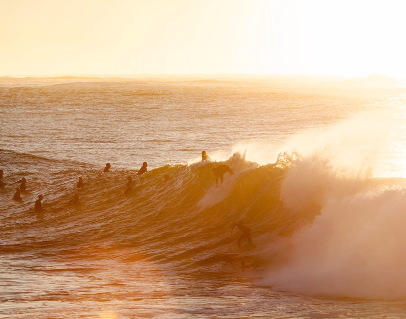 Roberts-Development-Group-River-Surfers
