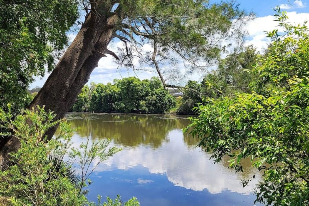 The Williams River at Clarence Town NSW — swimming, kayaking and fishing on your doorstep
