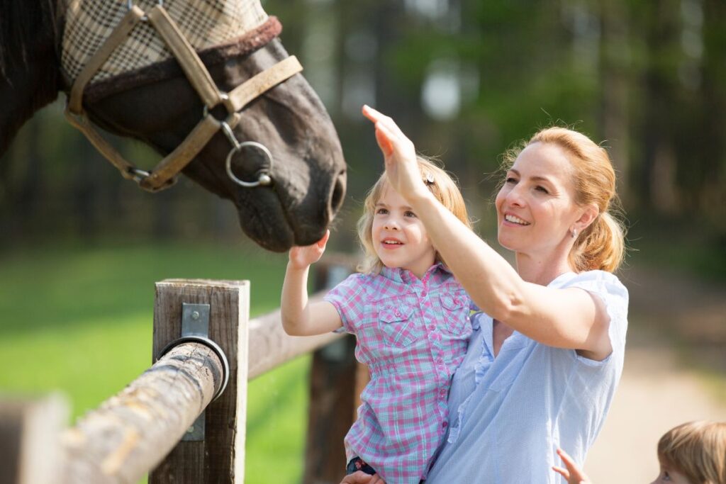 Acreage living in Clarence Town NSW — space for animals and family life at Mill Rise Estate